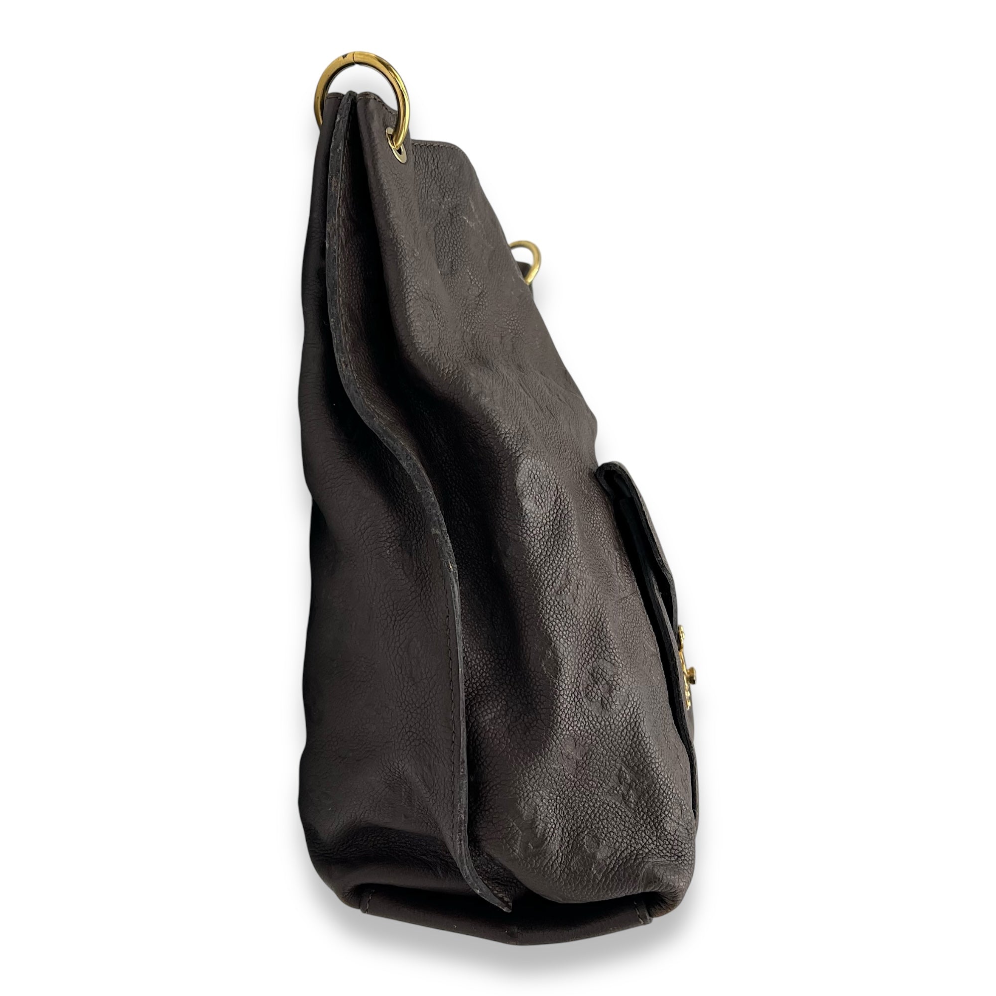 Metis Shoulder Bag Hobo Brown in Empreinte Leather, Gold hardware - Image 4