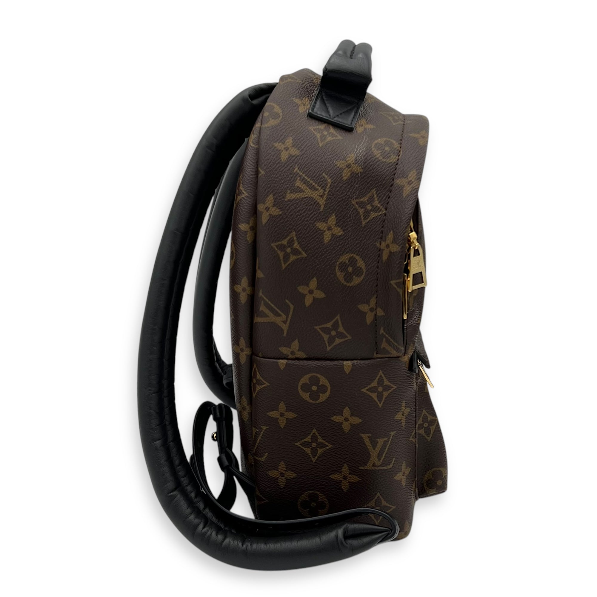 Palm Springs PM Brown Backpack in Monogram Coated Canvas, Gold hardware - Image 4