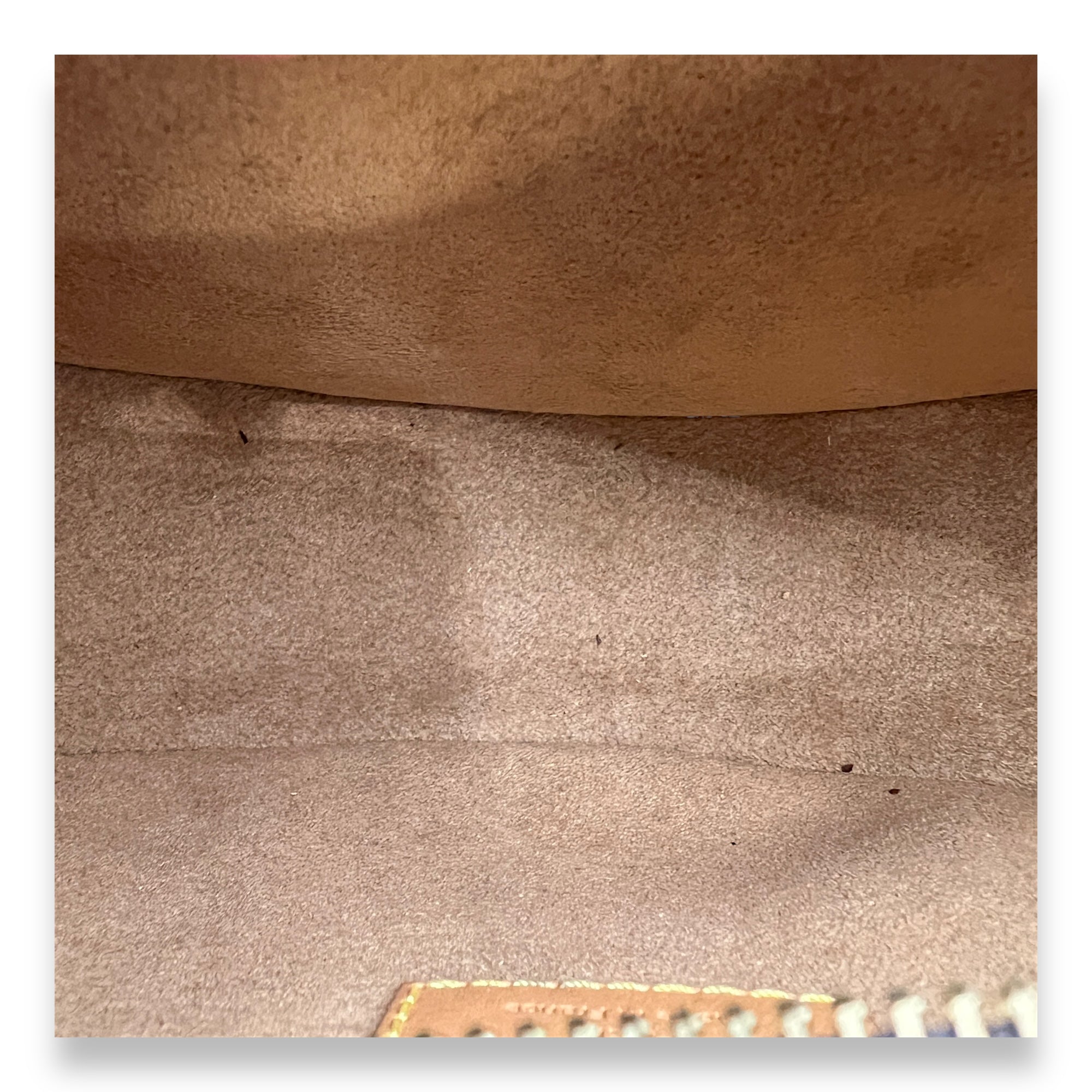 Loop Shoulder Bag Brown in Monogram Coated Canvas, Gold hardware - Image 13