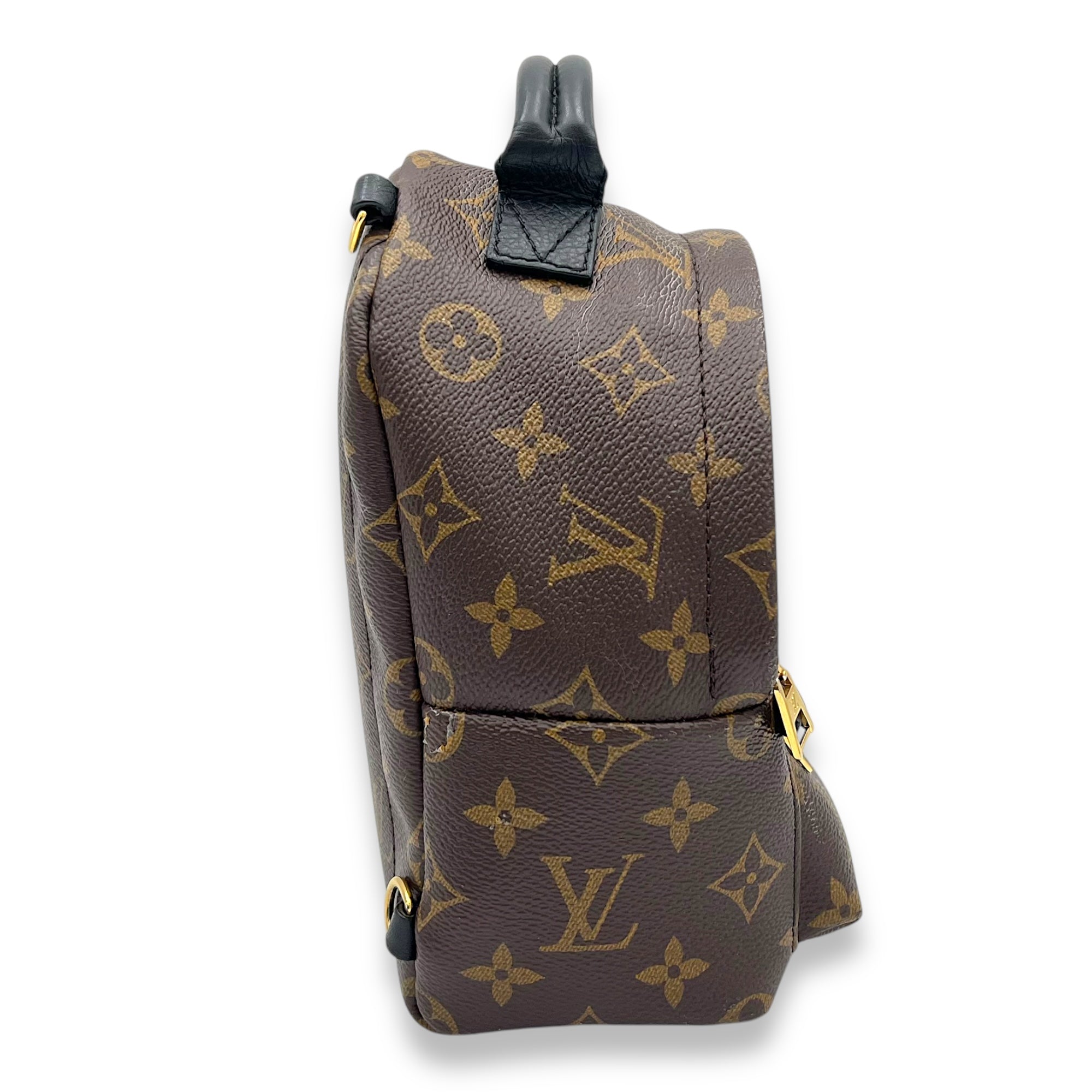 Palm Springs Backpack Brown in Monogram Coated Canvas, Gold hardware - Image 4