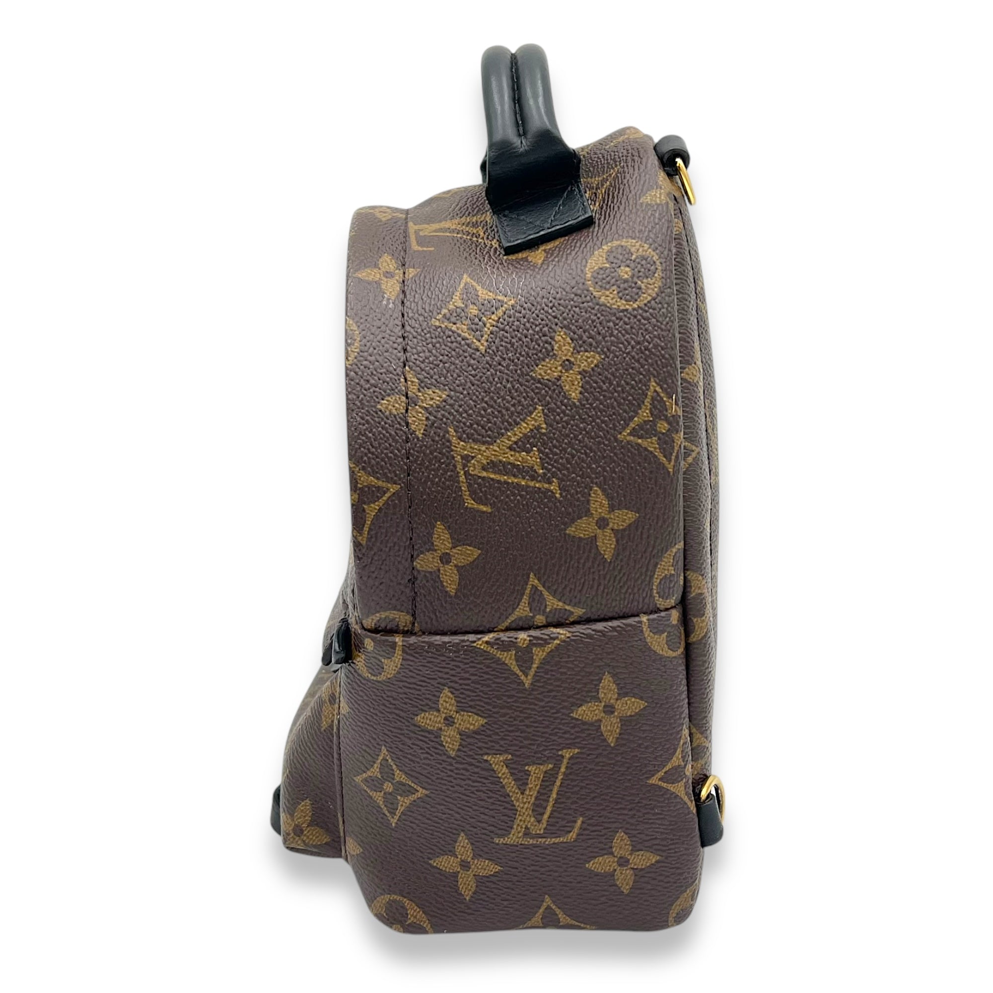 Palm Springs Backpack Brown in Monogram Coated Canvas, Gold hardware - Image 5