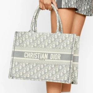 May be ca Dior Small Book Tote Grey Oblique Embroidery